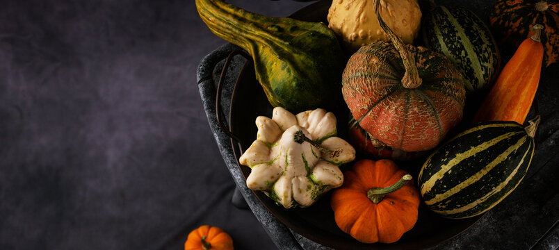 Various decorative pumpkins and dry leaves. Autumn harvest concept