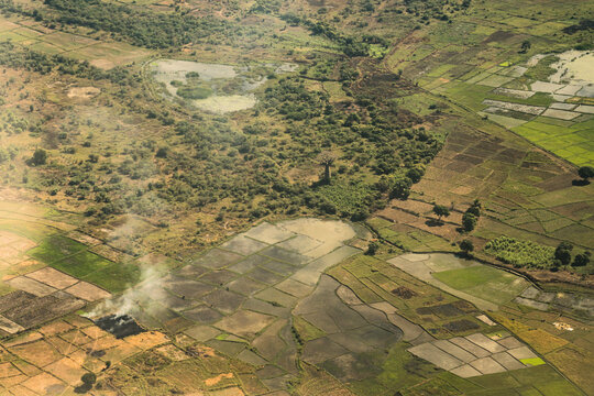 Aerial view of agricultural fields, patches of forest, and a solitary baobab tree in the rural landscape of Madagascar.