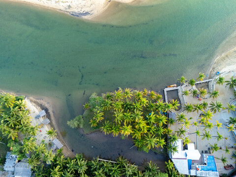 Aerial view of a river estuary flowing through a lush landscape with palm trees, sandy banks, and small buildings, Pacitan, East Java, Indonesia.