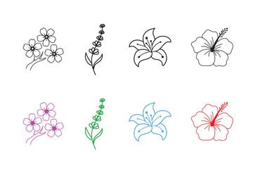 Obraz premium Floral Illustration Set with Delicate Flower Outlines and Color Variations