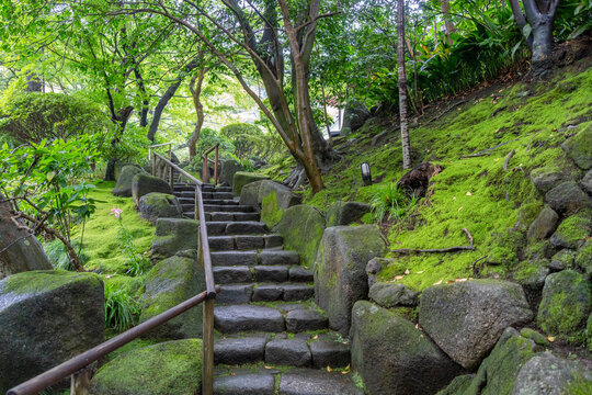 Stone path through garden at Hokoku-ji Shrine in Kamakura