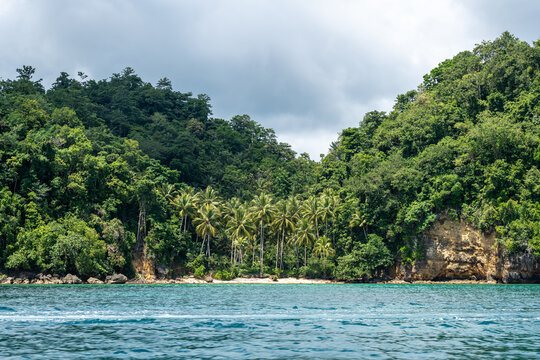 Paradise beach with palm trees, Togian Islands, Sulawesi, Indonesia