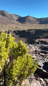 Transi&ccedil;&atilde;o de foco de planta nativa para vale e montanhas &aacute;ridas no Altiplano boliviano. V&iacute;deo vertical c&ecirc;nico dos Andes sob c&eacute;u azul.