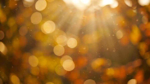 Cascading radiant halos in gold and orange tones featuring bokeh background with a warmth mood for social media creative use