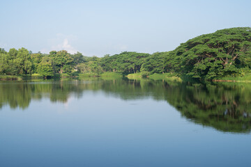 Fototapeta premium Calm freshwater lake surrounded by green tropical forest beneath blue sky. Peaceful natural landscape for ecology, conservation, travel and relaxation concepts. Nature, sustainability, conservation.