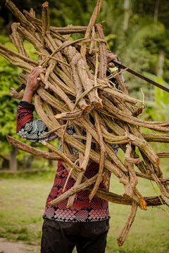 Sao Paulo, SP, Brazil -April 20 2023: Indigenous person carrying a harvest of jagube on their shoulders details.