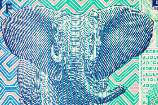 100 Congolese Francs banknote depicting an African elephant from Virunga National Park, national currency of the Democratic Republic of the Congo. Money of Africa.