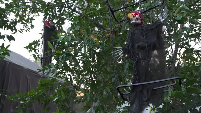 A skeleton pirate hangs in chains inside a metal cage among tree branches. Spooky Halloween yard decoration with tattered black gauze and leaves at dusk.