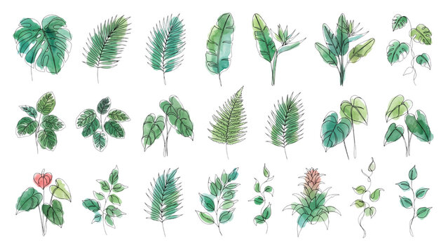 Tropical Green Leaves and Jungle Plants Continuous Line Art Vector Collection with Color Accents, Botanical Foliage Isolated on Transparent Background