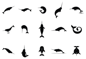 Narwhal silhouette vector collection isolated on white background © Toufik