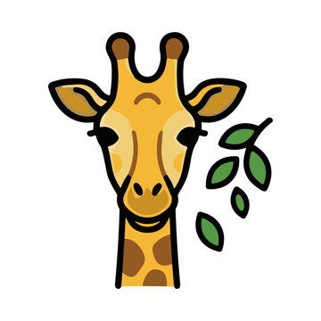 Close up head portrait of a giraffe with brown spots and leafy green branches