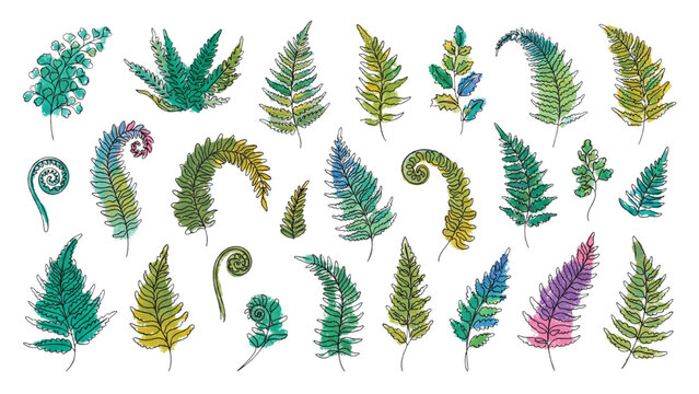 Fern Fronds in Various Shapes and Sizes Continuous Line Art Vector Collection with Green Color Accents, Botanical Foliage Isolated on Transparent Background