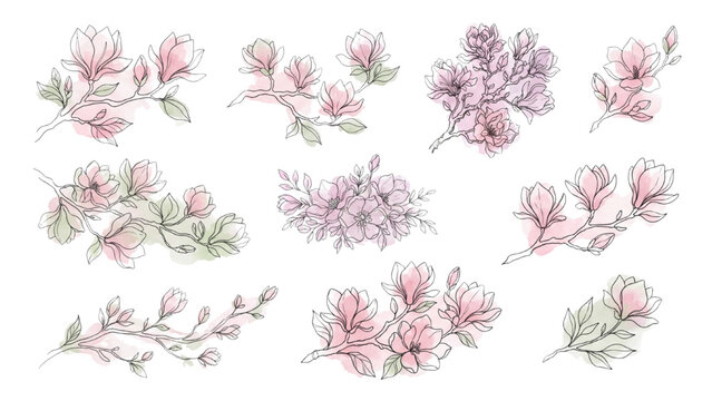 Magnolia Flower Branch Silhouette Continuous Line Art Vector Set with Spring Botanical Elements and Color Accents, Isolated on Transparent Background