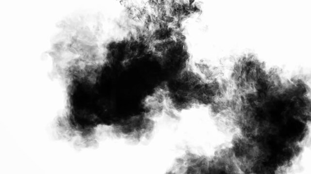 Chinese Ink Diffusion Effect for Traditional Culture Videos, Brand Intros and Film Titles