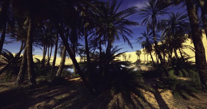 dusk lagoon reflecting palm crowns and deepening sky, soft ripples, cool indigo tones blending with warm horizon glow, atmospheric scene for nature editorial