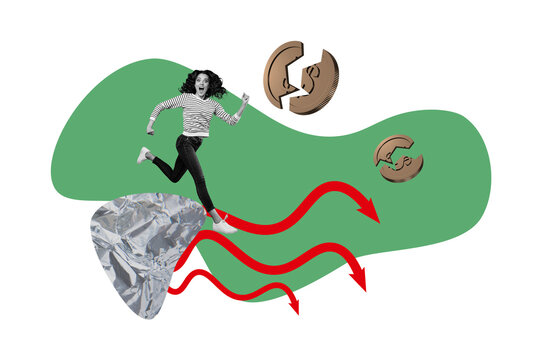 Composite trend artwork sketch collage of young lady businesswoman earn money coin business loss money crisis broken coins arrow down