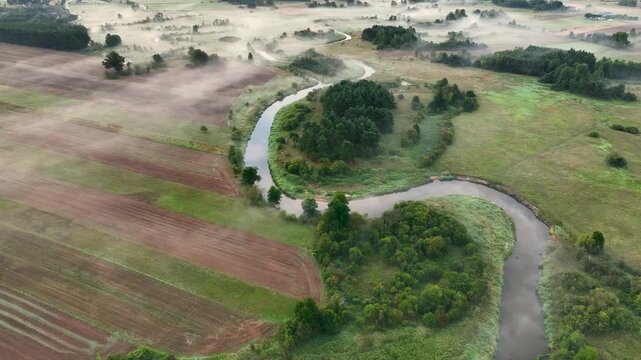 aerial view of the river in the forest	