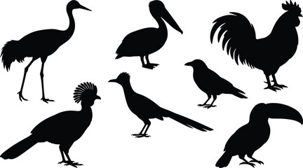 Naklejka premium Vector Bird Silhouette Icon Set Featuring Rooster, Toucan, Pelican, and Crane Graphics for Nature Illustrations, Wildlife Designs, and Creative Digital Media Artwork