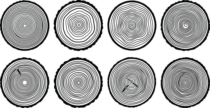 Wood cross section rings set, 8 timber trunk slice icons, organic tree ring textures, rustic wood grain vector elements