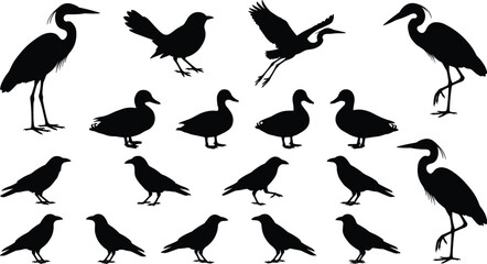Naklejka premium Vector Bird Silhouette Icon Set with Heron, Duck, and Crow Graphics for Wildlife Design, Nature Illustrations, Digital Artwork, and Creative Projects