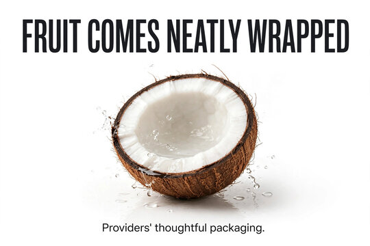 Divine Design Poster Illustrating God&rsquo;s Miracle in Fruit Creation and Packaging
