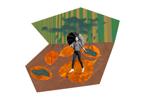 Composite photo collage of happy girl hold umbrella autumn fall season rain weather puddle dry foliage isolated on painted background