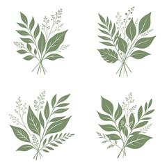 Fototapeta premium Organic Botanical vector illustration featuring natural leaves, delicate branches and plant elements arranged in an elegant minimalist composition. Perfect for organic products, eco branding, wellness