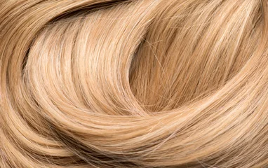 Blond hair curls background, lock of hair, healthy and beauty dyed hair backdrop design, salon, treatment, cure, dying concept. Close up, top view  © Subbotina Anna