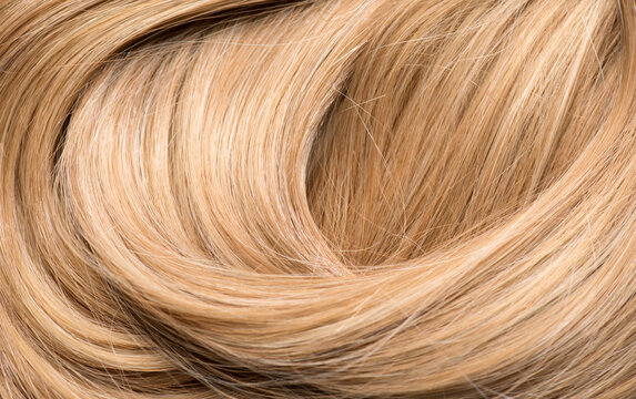 Blond hair curls background, lock of hair, healthy and beauty dyed hair backdrop design, salon, treatment, cure, dying concept. Close up, top view 