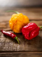 Red and Yellow Trinidad Moruga Scorpion Pepper Chili on wooden table, closeup. One of the hottest peppers in the world, heat level 1,200,000 to 2,000,000 Scoville Heat Units (SHU), vertical image  © Subbotina Anna