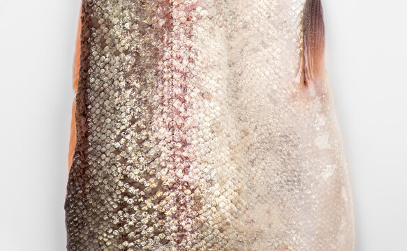 Raw trout red fish skin, scale texture, fillet, fish skin background. Cooking sea food. Healthy eating concept, Mediterranean cuisine, over white background 