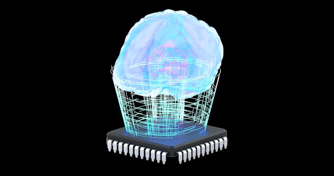 Holographic brain on microchip rotation animation seamlessly loopable. 3D rendering isolated on transparent background