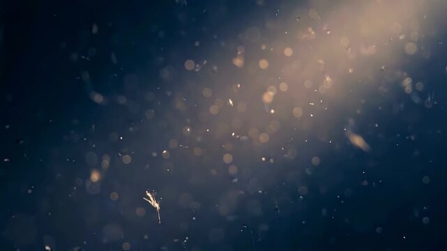 Floating antique dust motes in blue tones featuring floating dust with an elegance mood for social media creative use