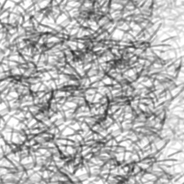 Black lines scatter across a stark white background