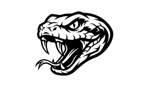 Aggressive viper snake head fangs open mouth black white mascot vector