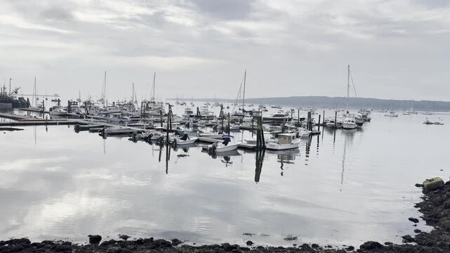 Movement Around the Docks of Rockland Harbor Maine