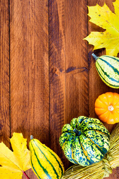 Herbstdekoration f&uuml;r Halloween und Erntedank mit K&uuml;rbis, Fr&uuml;chten und Herbstbl&auml;tter