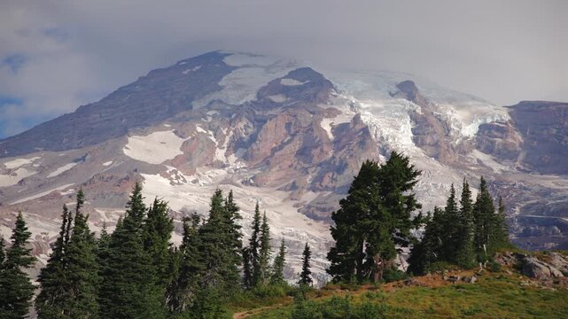 Glaciers and snowfields on the volcanic summit of Mount Rainier National Park Washington with rugged rock ridges soft haze and subalpine fir trees on a green meadow ridge in late summer.