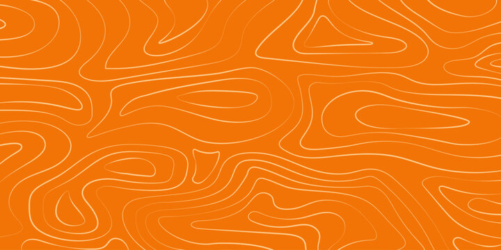 Geometric salmon fillet topographic contour pattern vector. Orange abstract fish meat texture with curved lines for culinary concepts, seafood packaging, and branding.