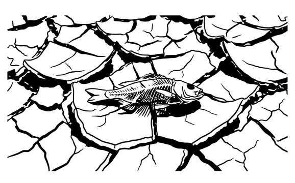 Drought Cracked Earth Dead Fish Climate Change Global Warming Line Art Vector
