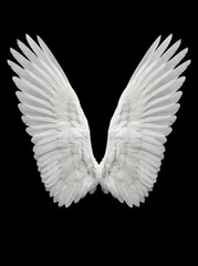 Naklejka premium Pair of Large White Angel Wings Isolated on Solid Black Background for Graphic Design and Symbolic Concepts