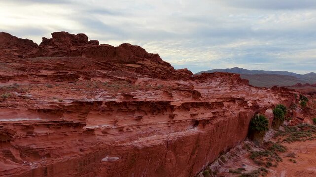 Aerial Red Rock Cliffs and Palm Trees Little Finland Nevada Fly Through