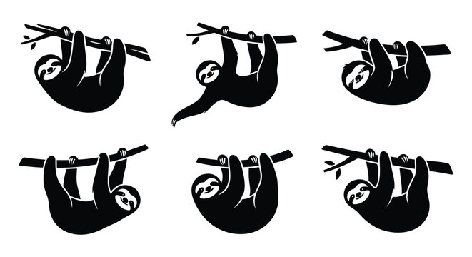 Black silhouettes of sloths hanging from branches vector illustration