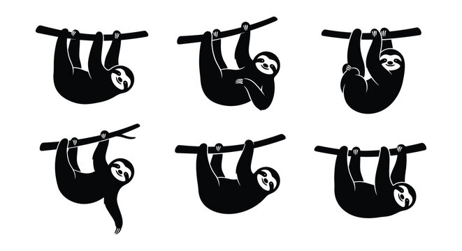 Black silhouettes of sloths hanging from branches vector illustration