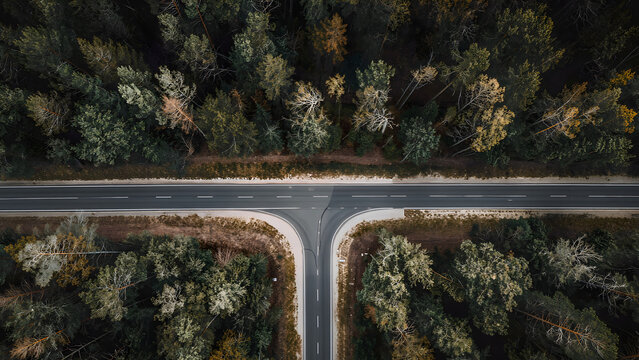 A clearly defined T-junction connects two rural roads within dense natural woodland.