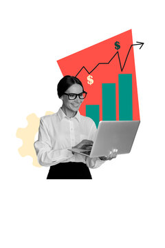 Trend artwork banner sketch 3D collage of young woman hold laptop graphics business success target finance cash investment market income