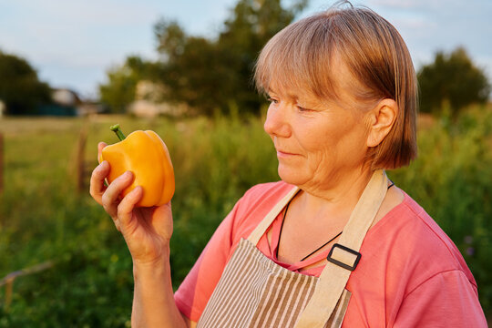 A woman examines a yellow pepper in her hand while standing in a garden. The scene shows a green background with trees and a cloudy sky at dusk