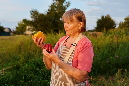 Woman stands in a garden at sunset holding a yellow pepper in one hand and a red pepper in the other. Green plants surround her in the background