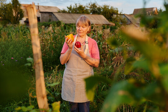 A woman stands in a garden holding yellow and red fruits. The sun is low in the sky, and crops surround her. The scene shows rural life in the autumn