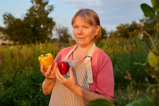 A woman stands in a garden at sunset holding a yellow pepper in one hand and a red pepper in the other. The sky shows warm colors and the garden is green